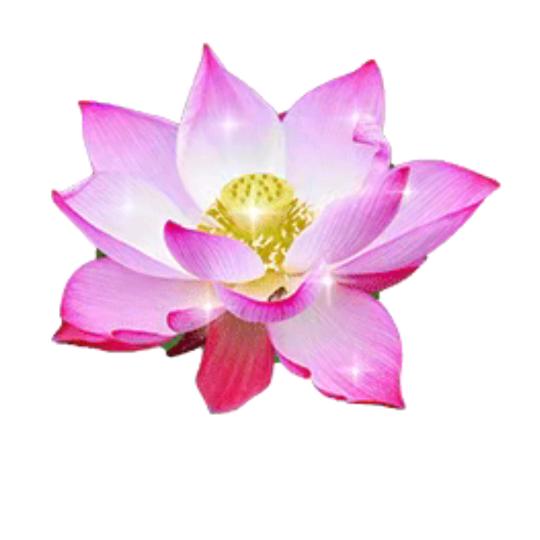 大展宏图