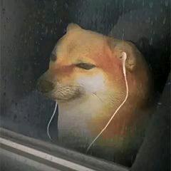 纯·简拉基茨德