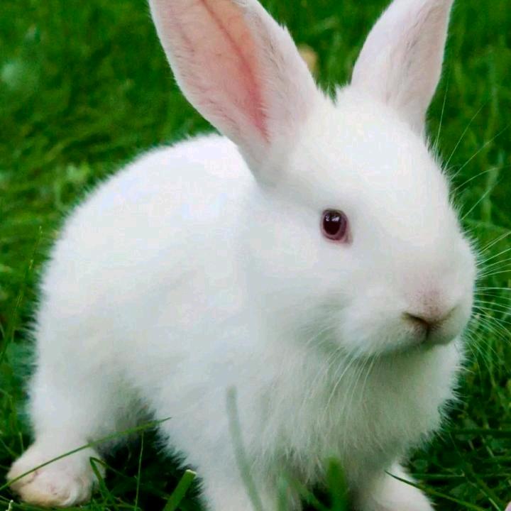 lꪣi？ꪣ.？小李夜猫子