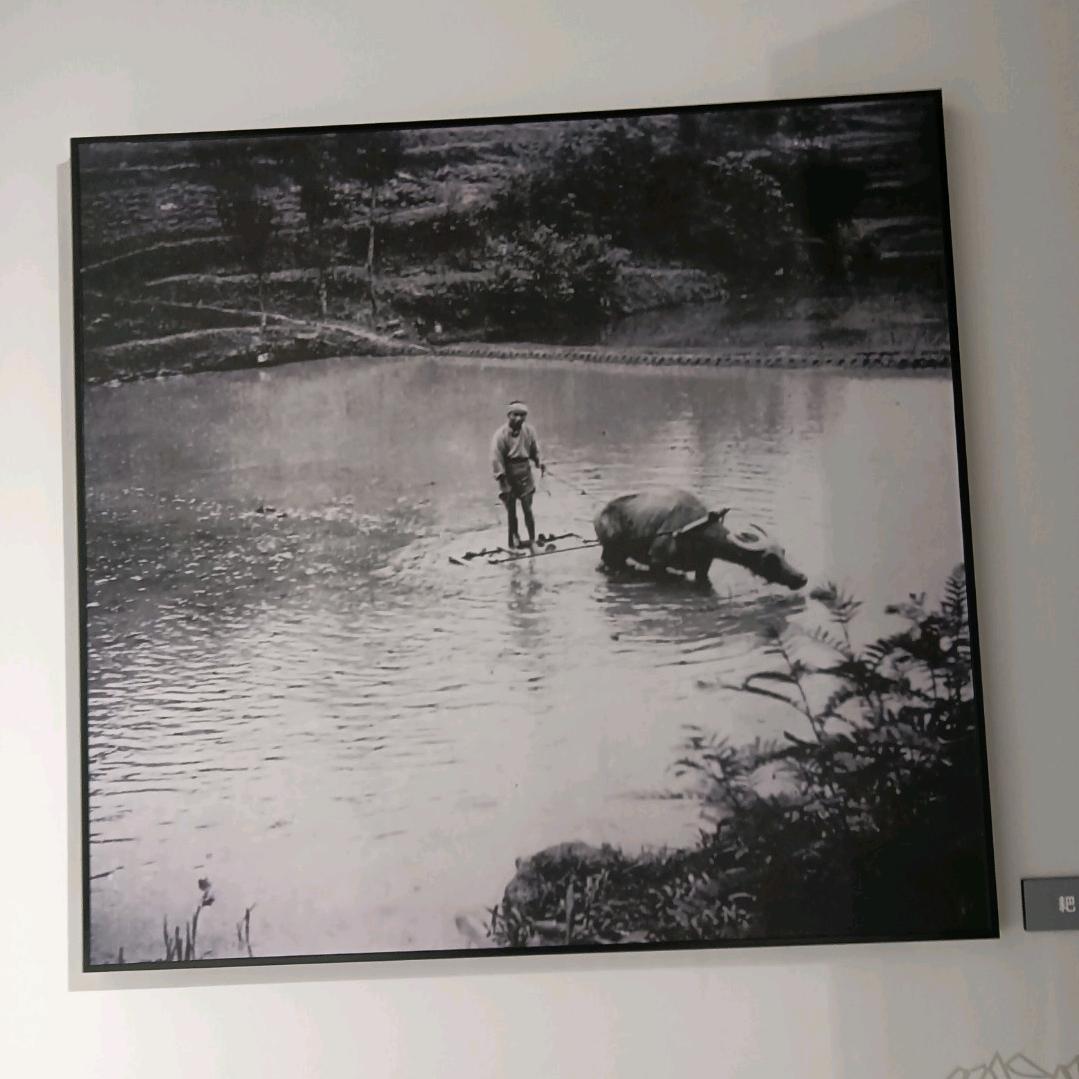 听老歌，回到童年时光