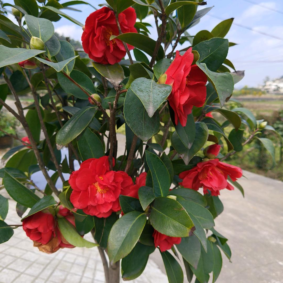 心❤️好❤️累❤️