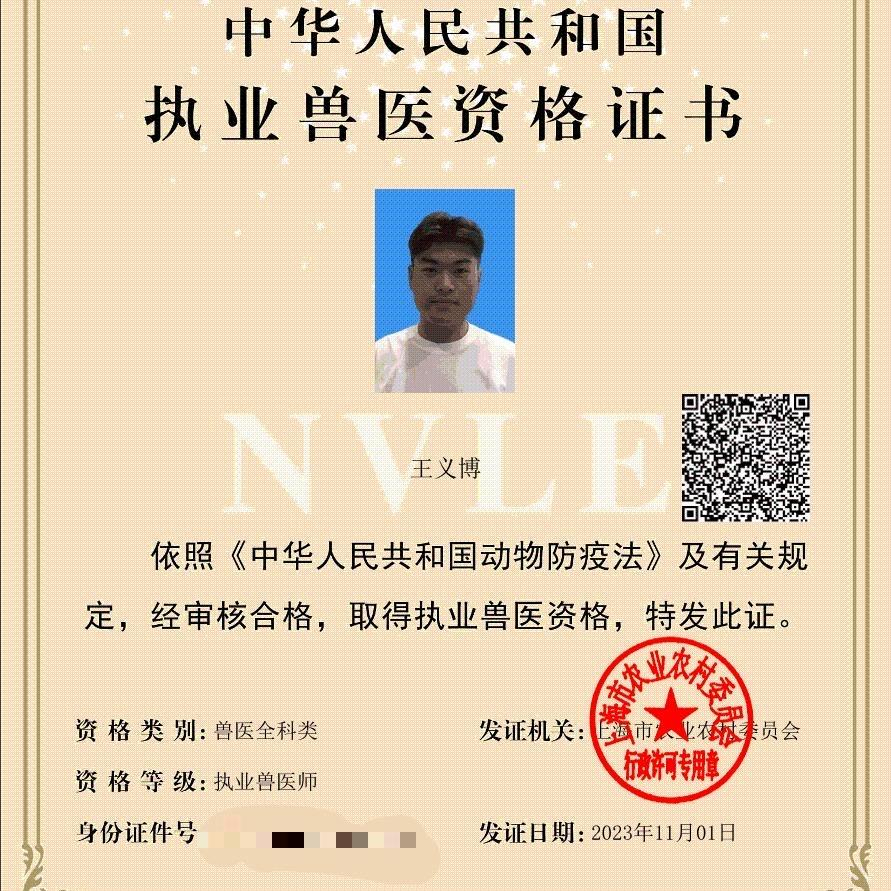 医兽王小