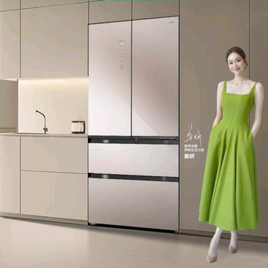 泰锋电器海信容声小韦