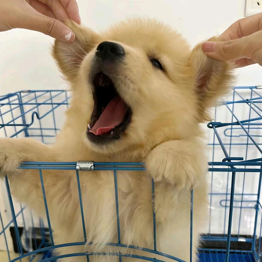 ℡ღ̶᭄小任性♡