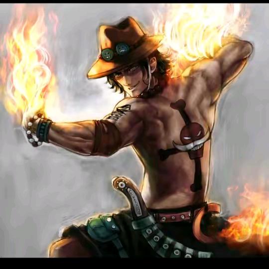 布拉达互关涨粉