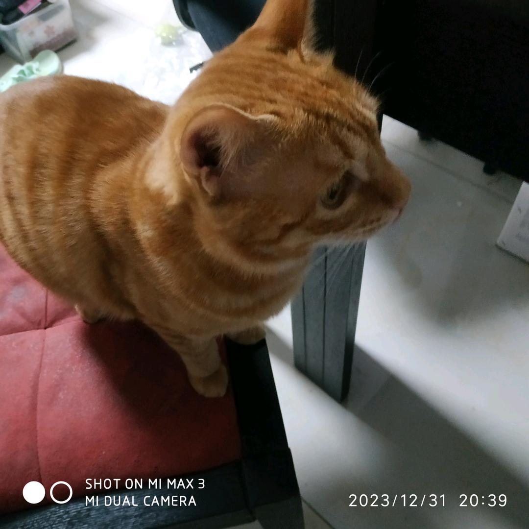 旺仔带你看远方