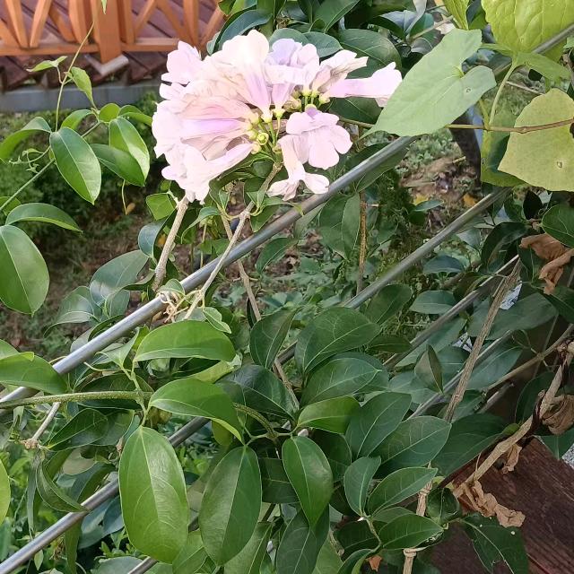 面朝大海，春暖花开