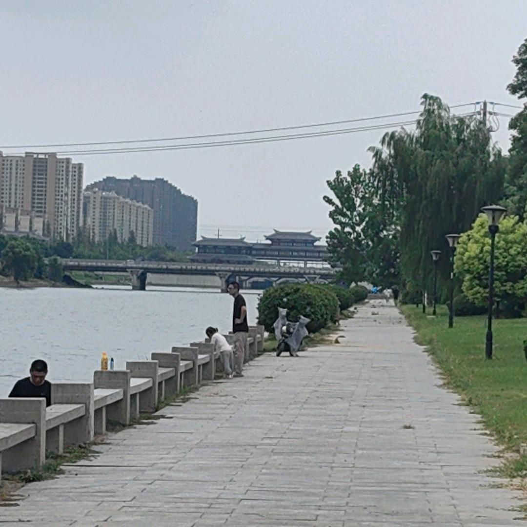 真情妙悟铸文章