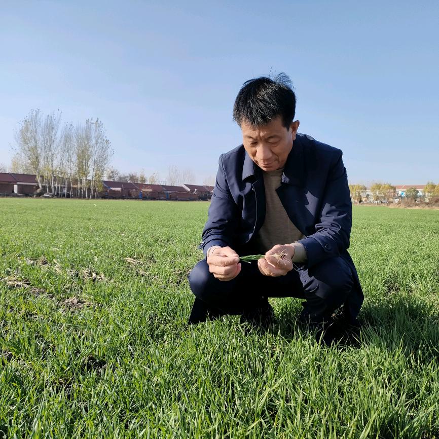 集强农业