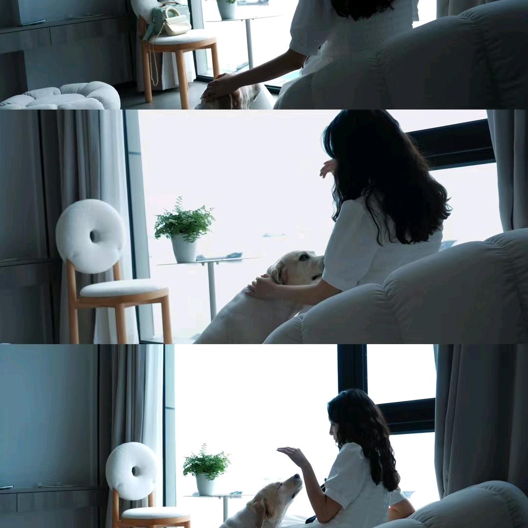 兜兜不见彩虹糖