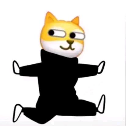 不将就
