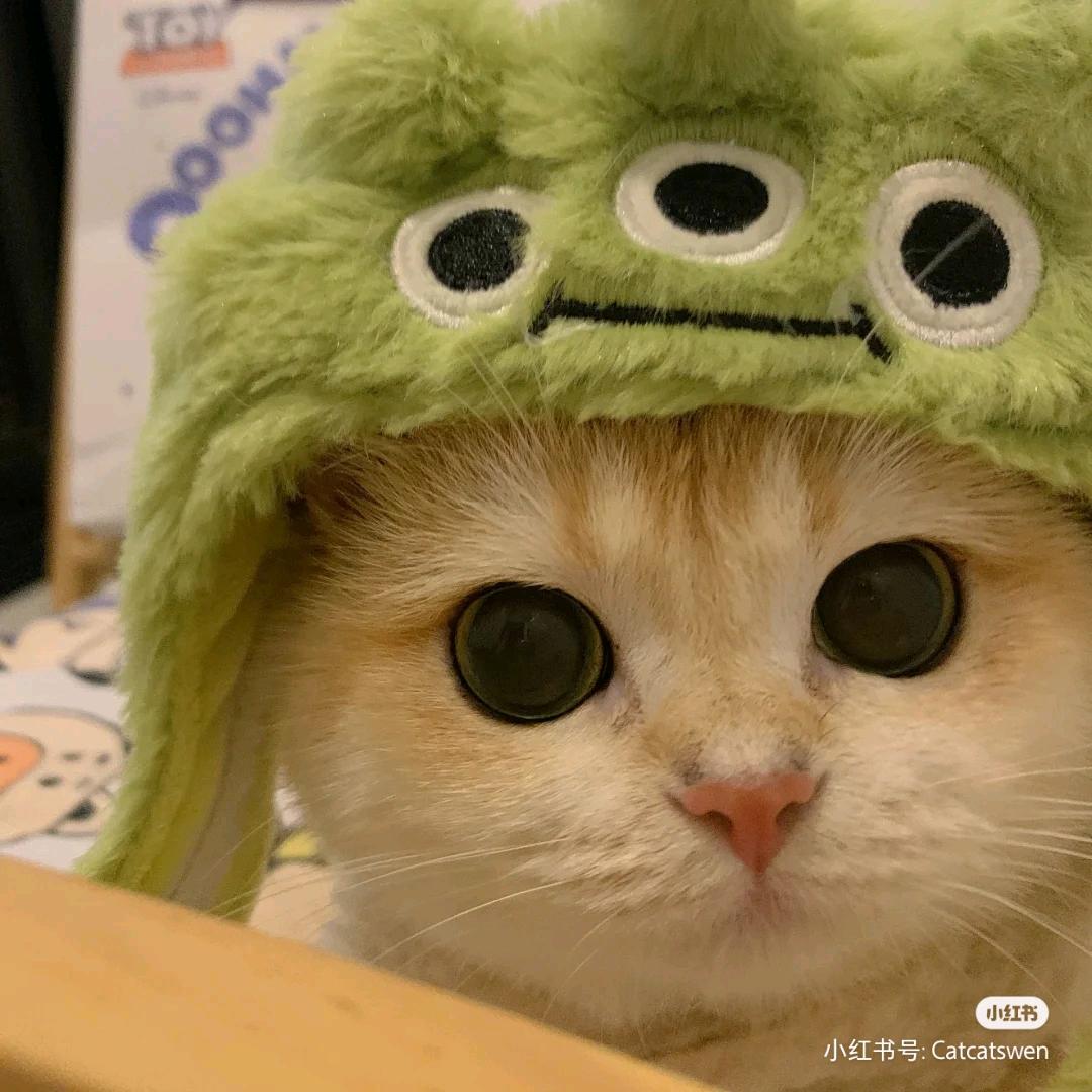小葵