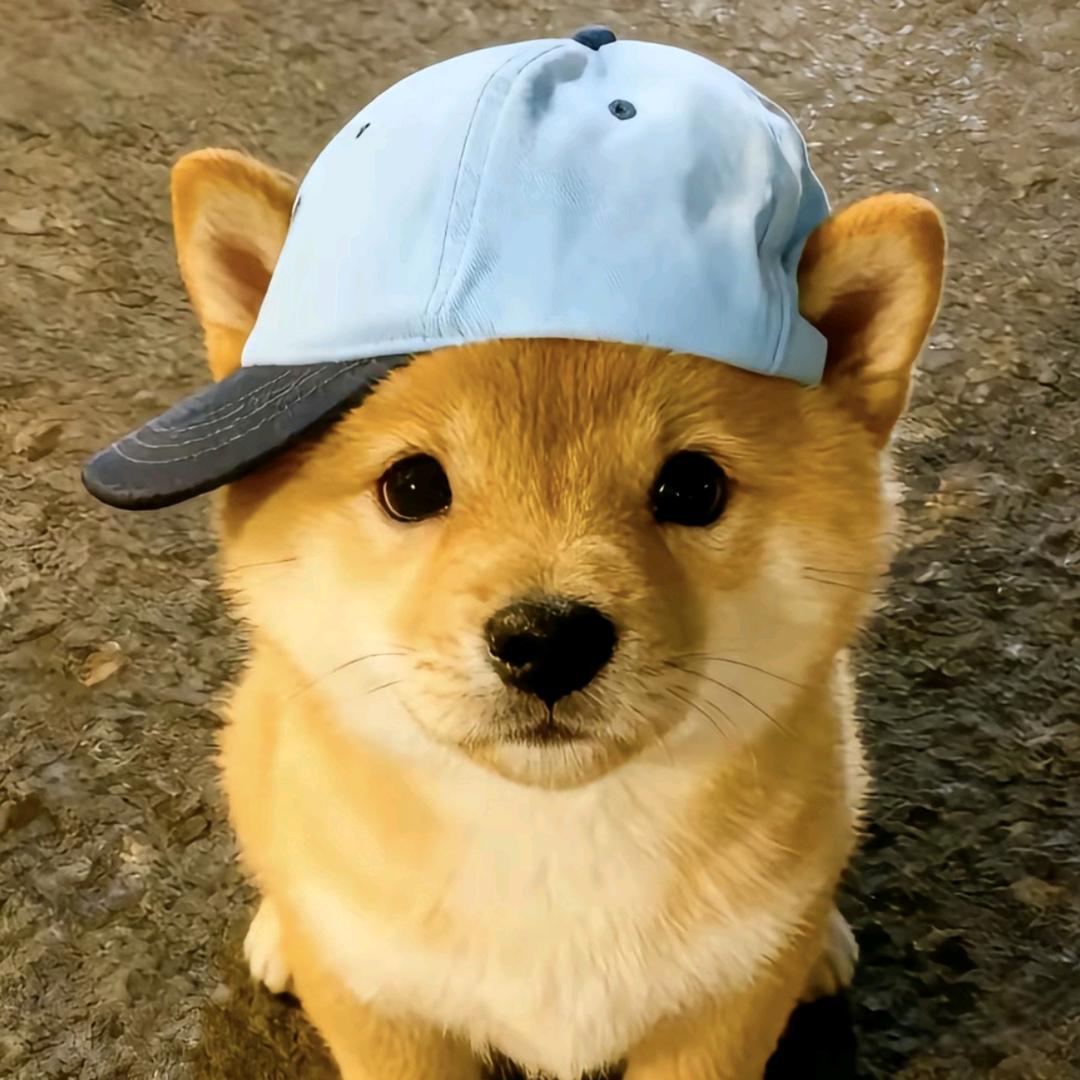 有点烦