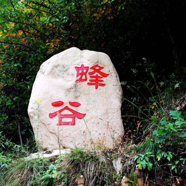 美好—丰田蜂业专业合作社