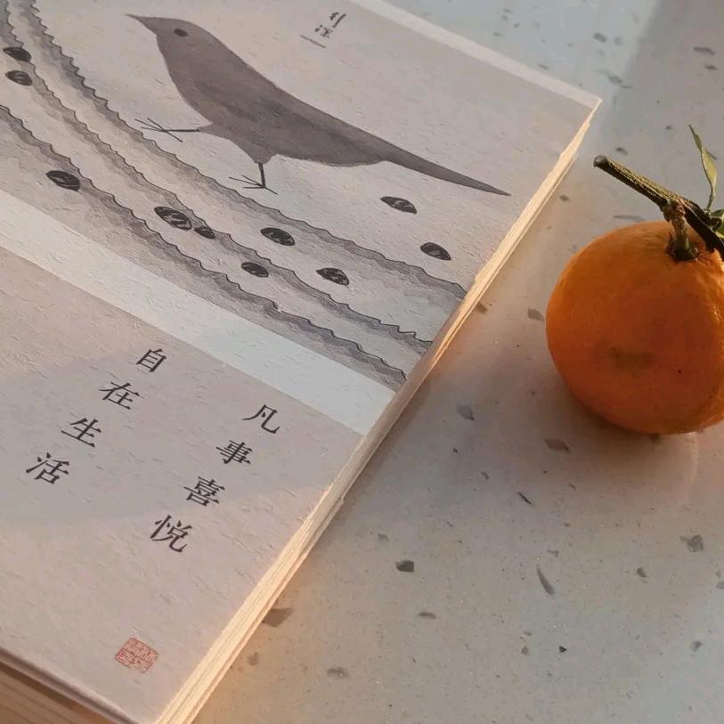 落雪的读书日记