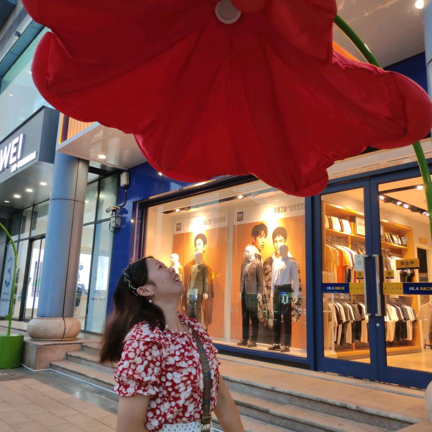 🌸荷塘月色🌸