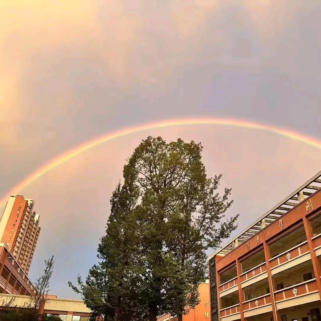 一枝梅
