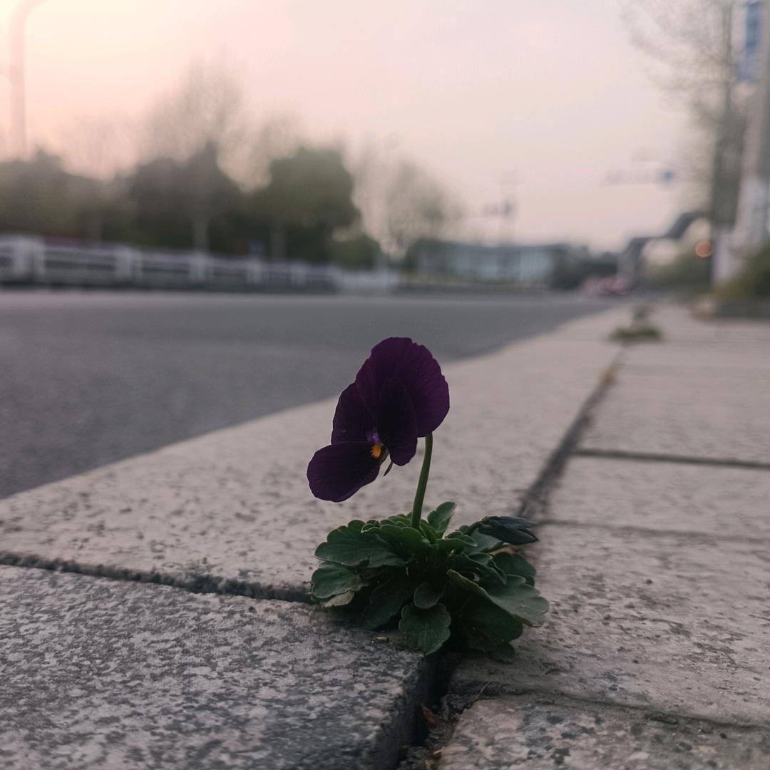 努力（无奋斗，不青春）