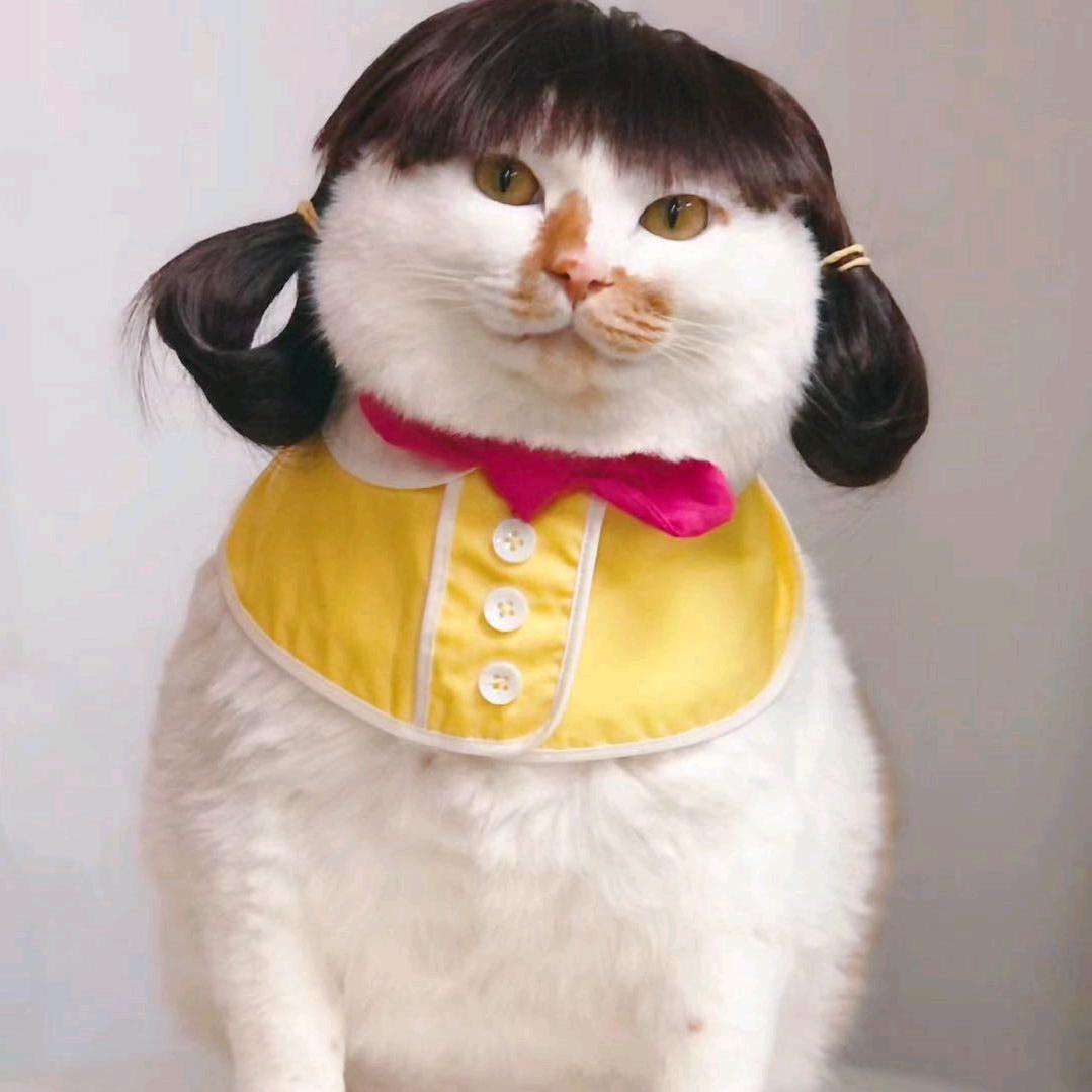 是晚风徐徐ya꧔ꦿ᭄