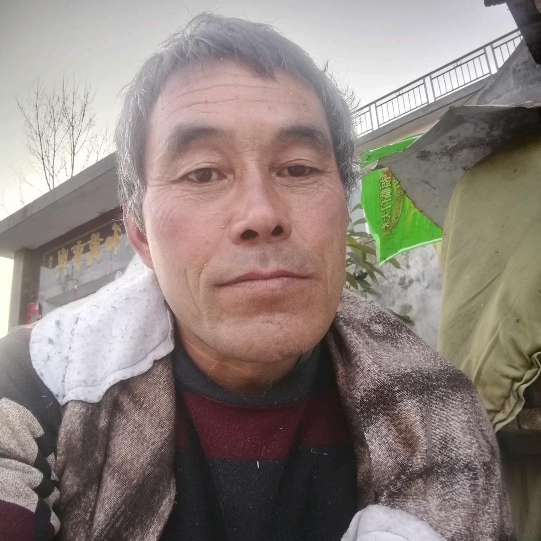 丐帮帮主