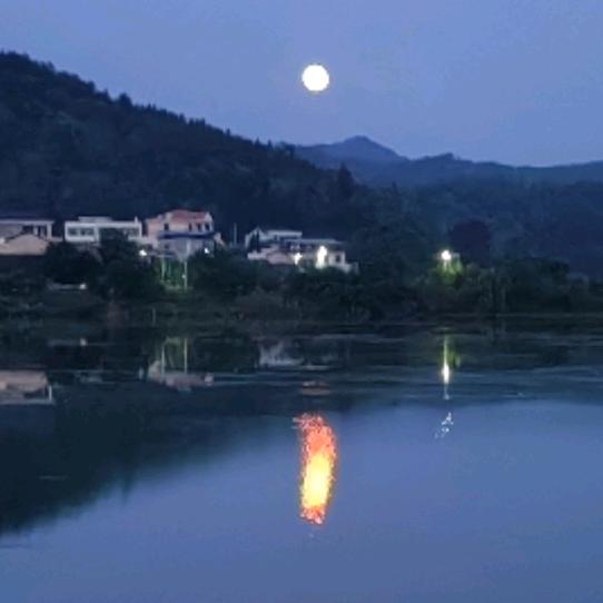 刁嘴觅味