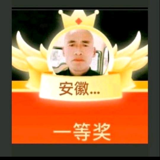 安徽大衣哥（团队招人）