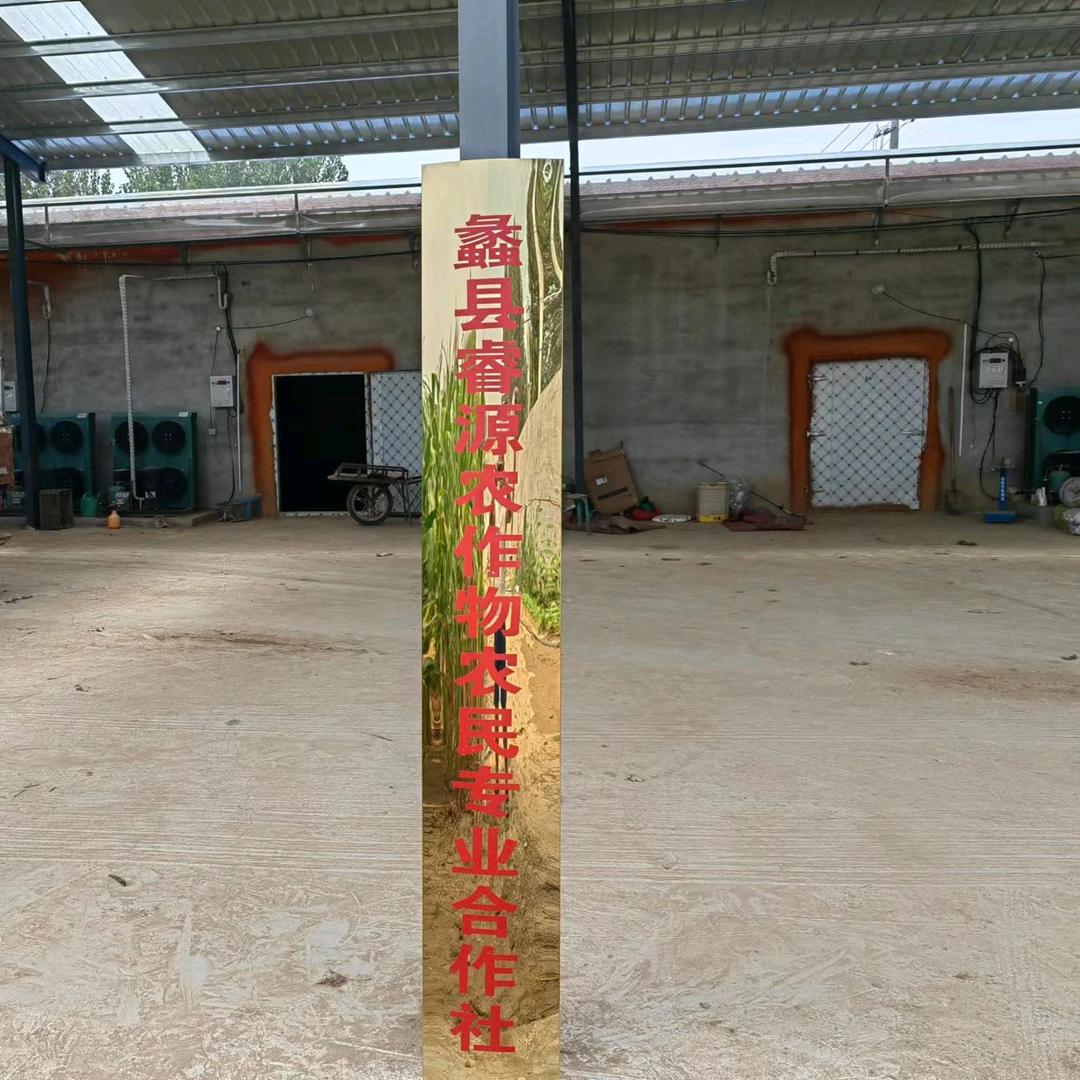 通农，农批铁棍山药直销8号棚