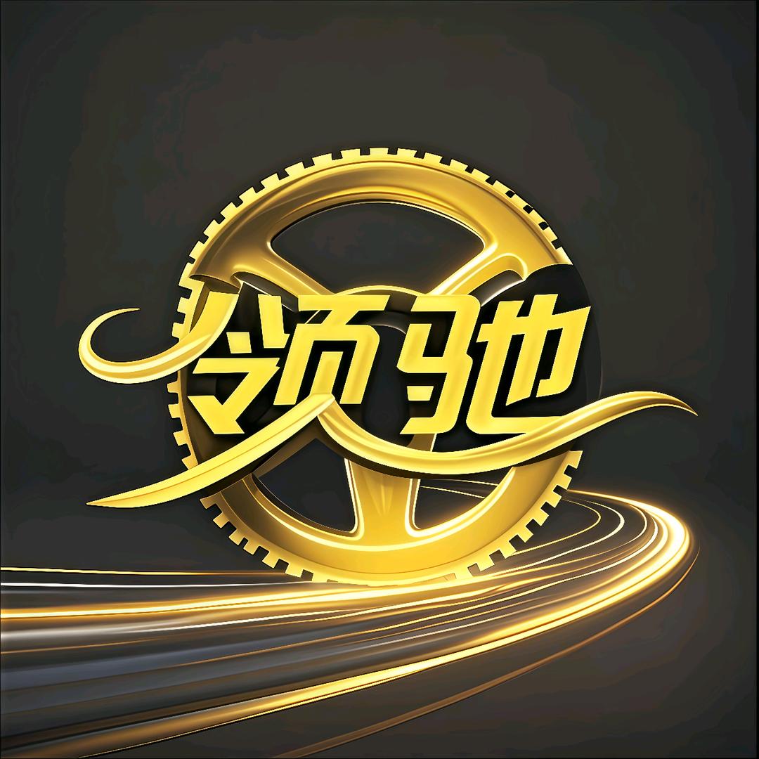 领驰汽车服务陪练（洛阳店）