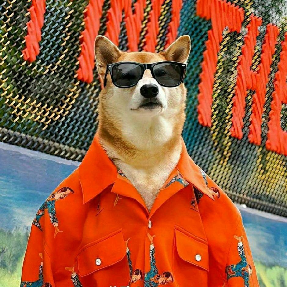 一颗小卤蛋🥚～