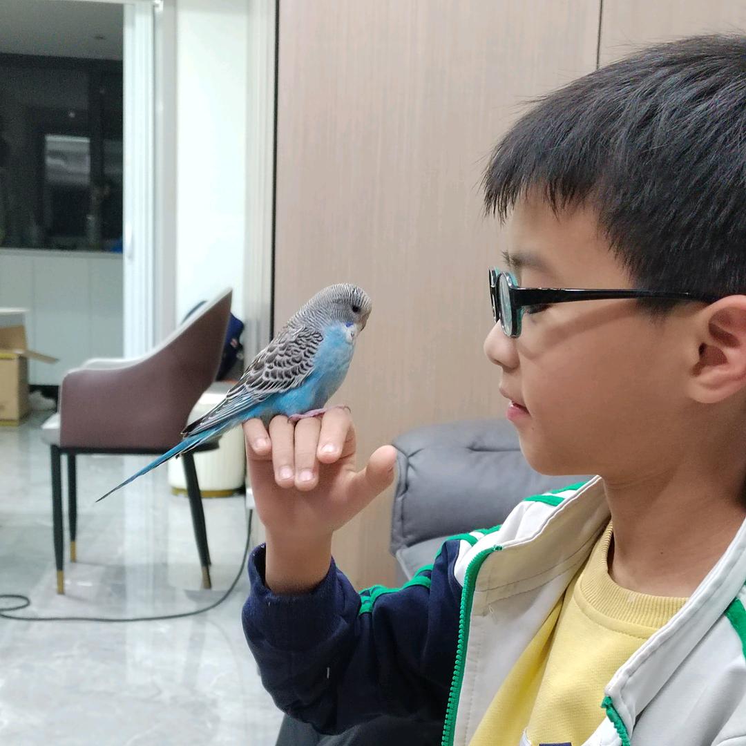 想不起的回忆