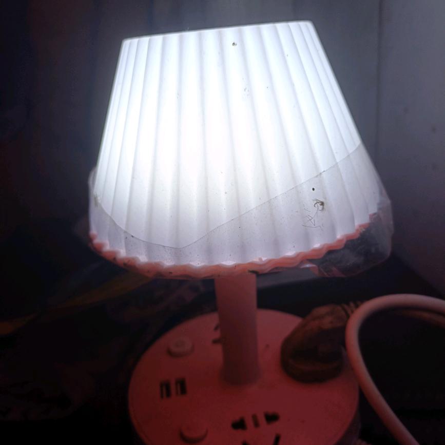 姐把良心喂了狗。