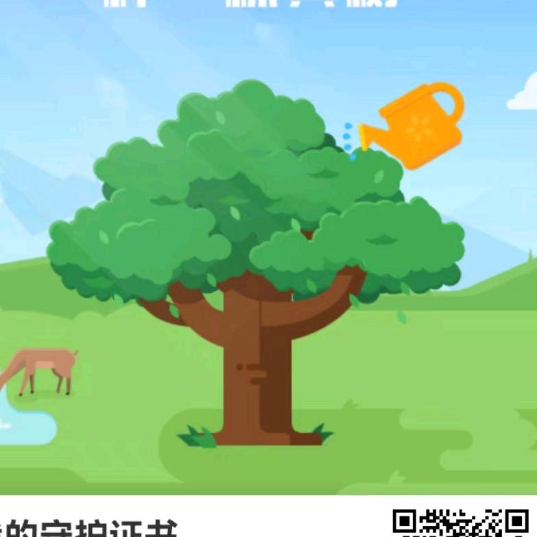 🌹随心💯