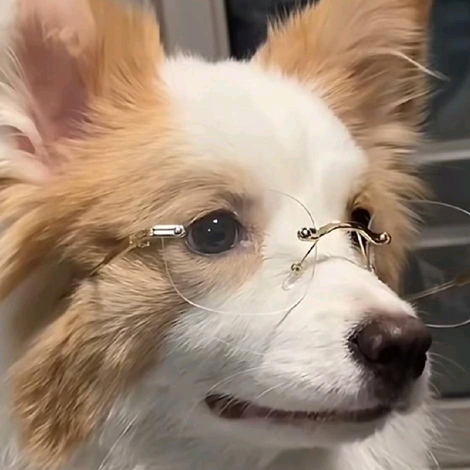 可待