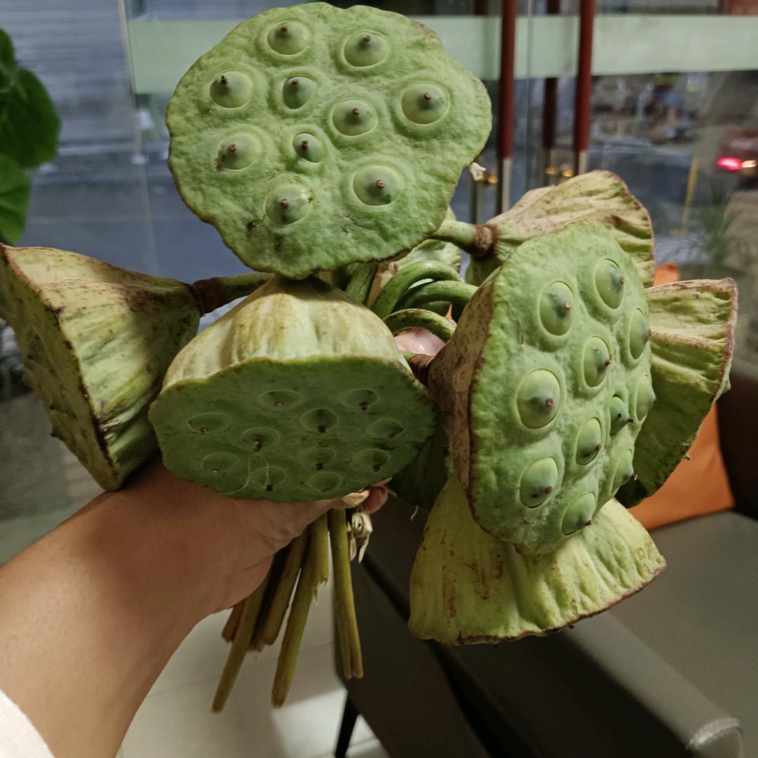 lsyzfq一朵莲