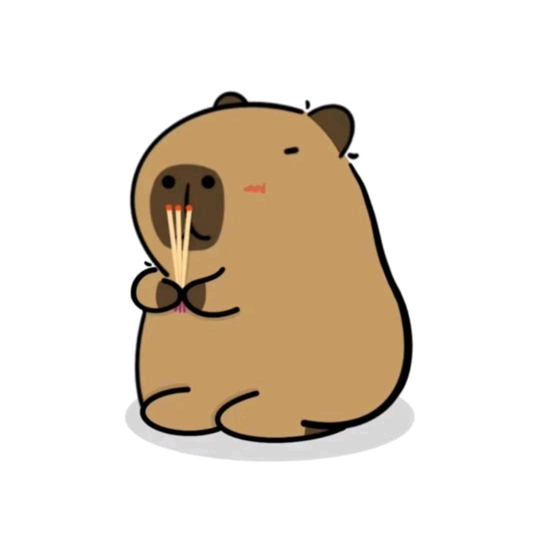 睡觉专业户