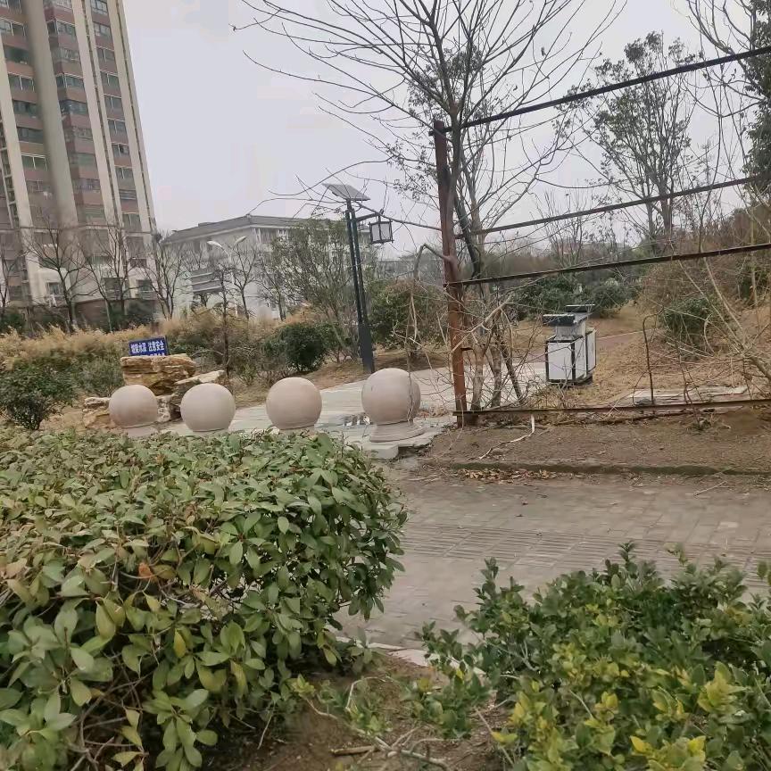 开心哥
