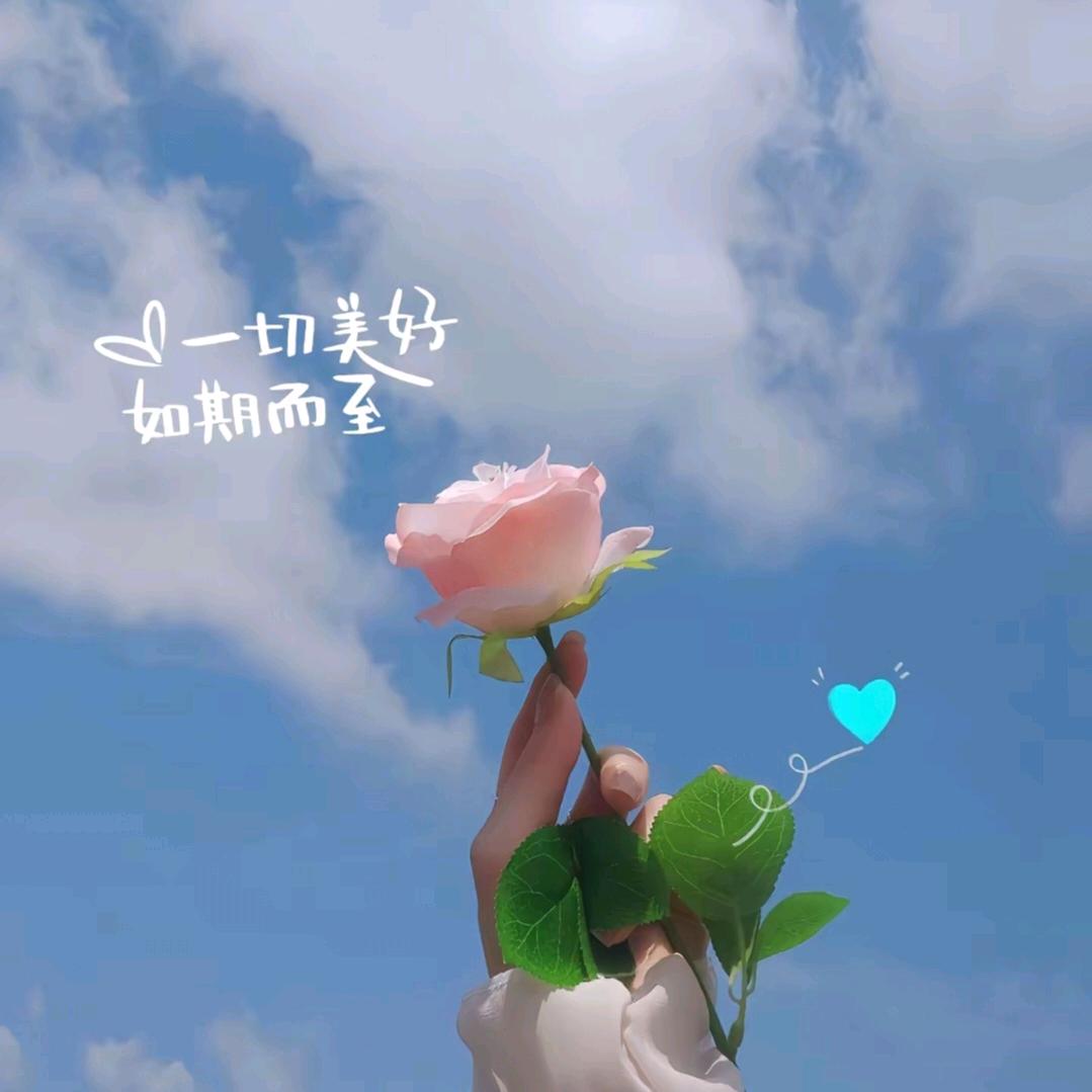 ᵏ_℡禧泺