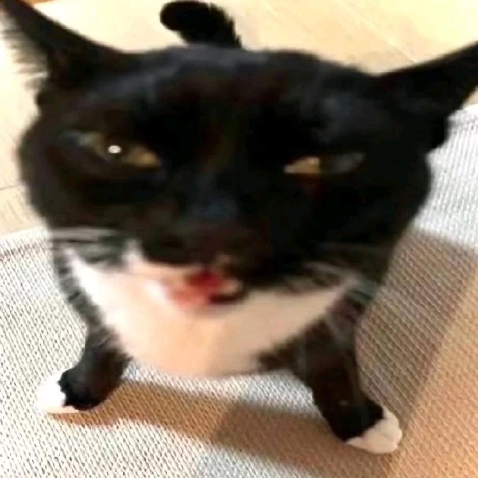 低调的农村入123