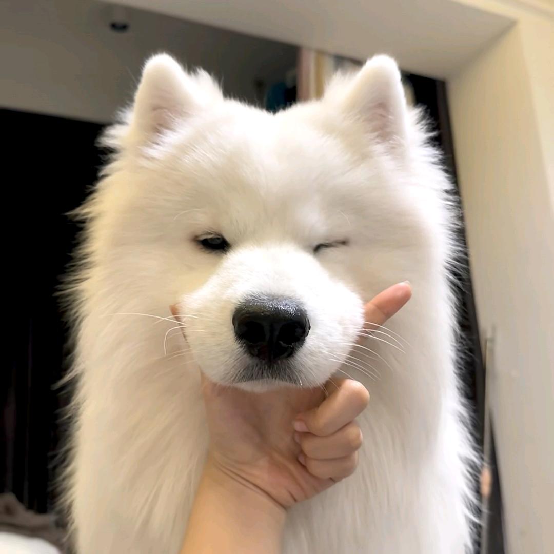 风间