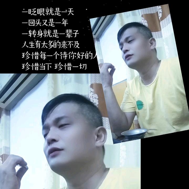飞翔《情》
