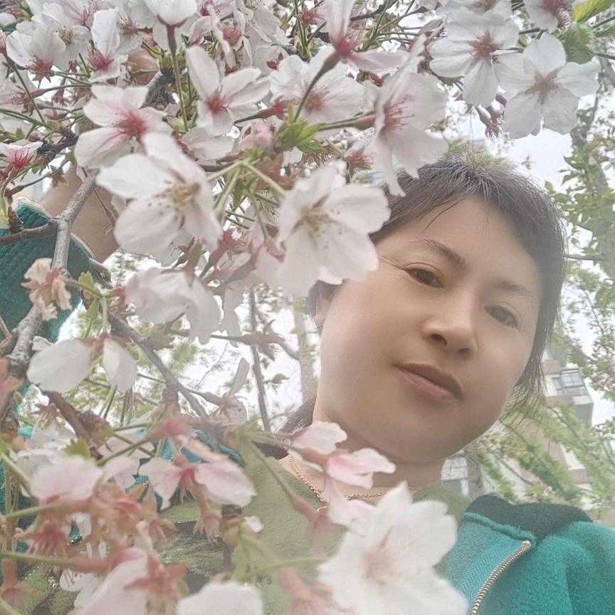 勿忘我
