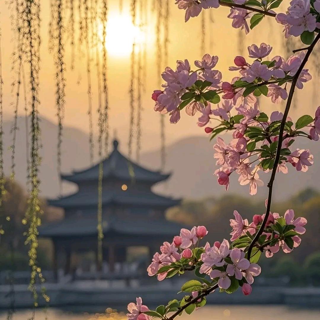 微微