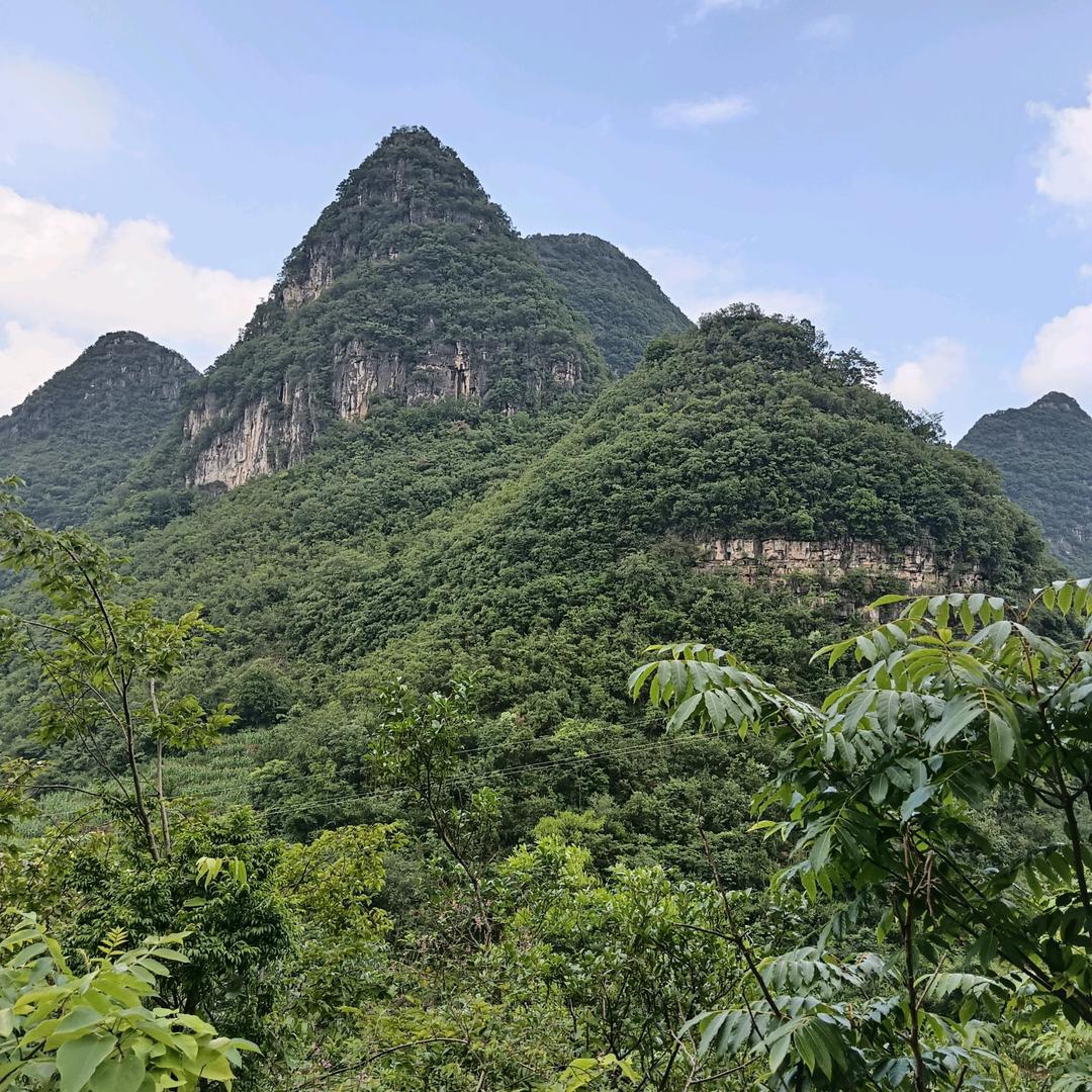 关岭仡家土特产店