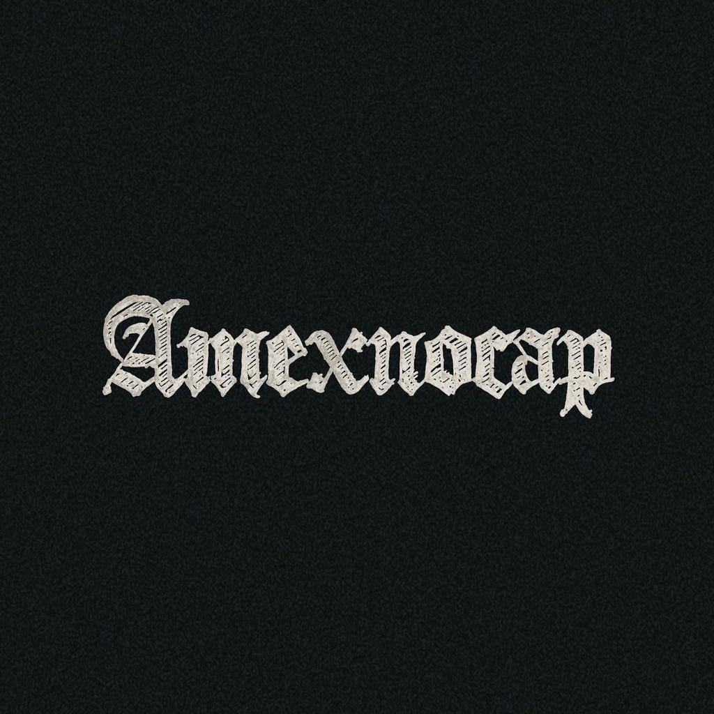 Amexnocap杭州闪酷牛电子商务有限公司服饰专卖店