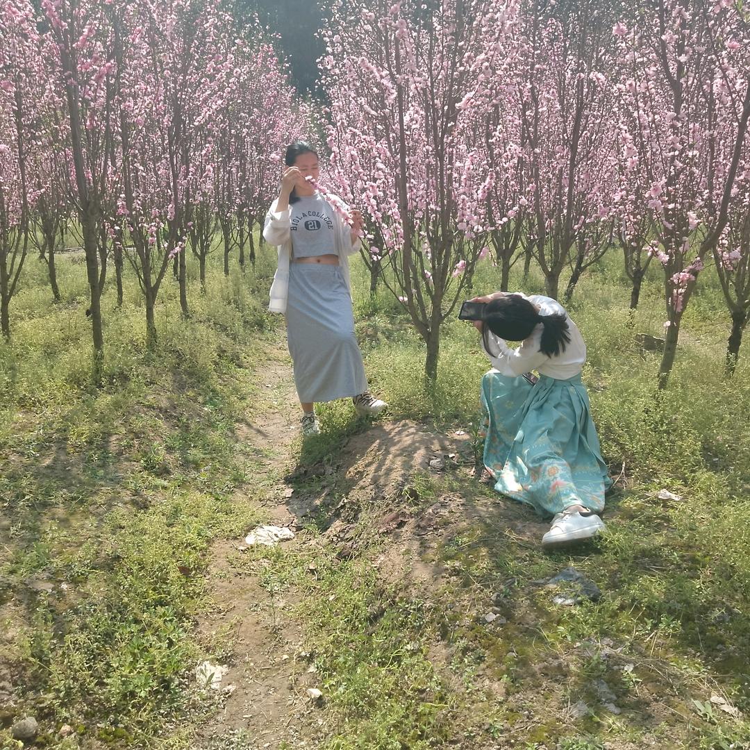 西夏