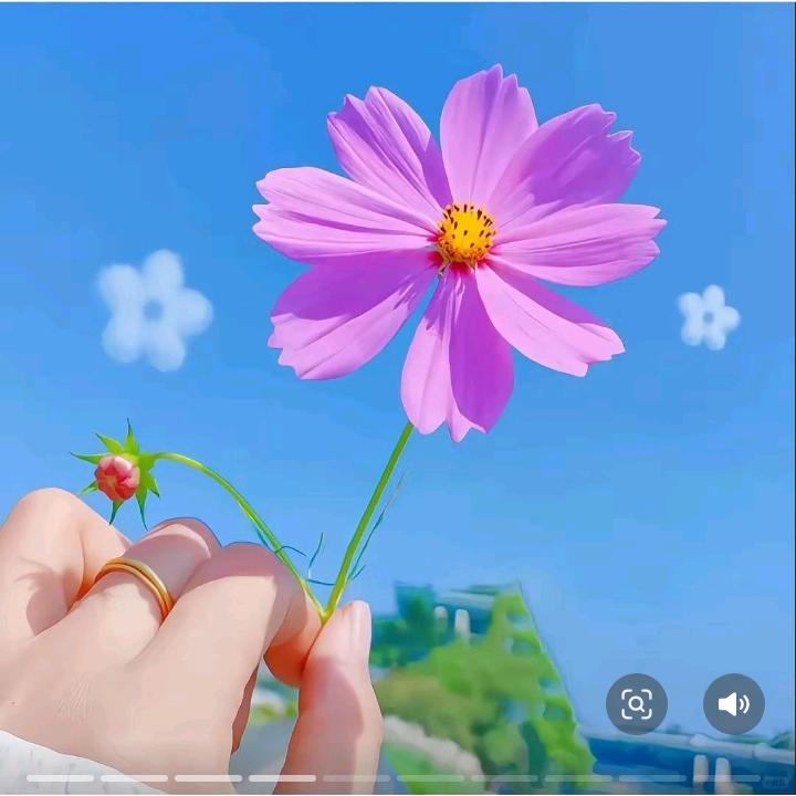 🍓陶🍓
