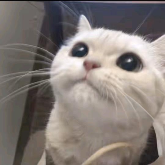 9.13
