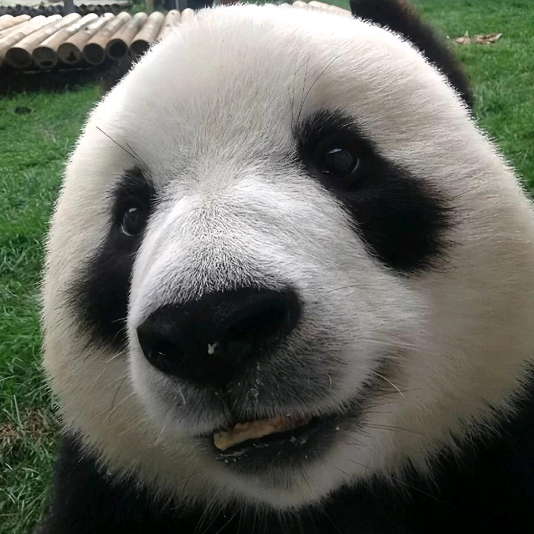 福氣滿滿