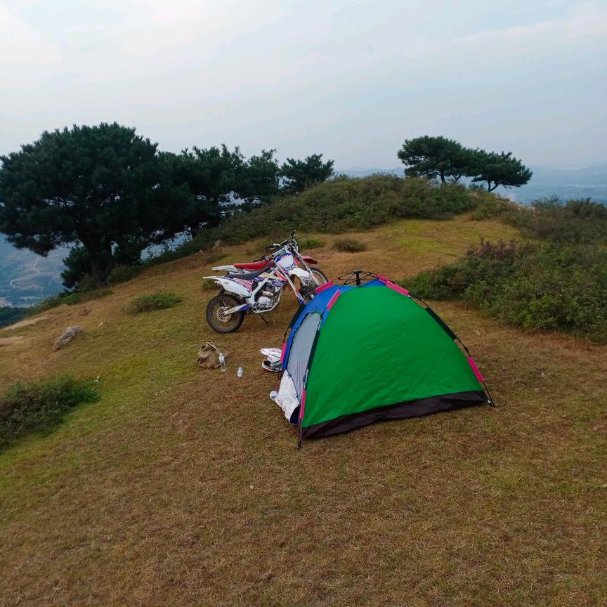 潍坊市小微盆景批发基地
