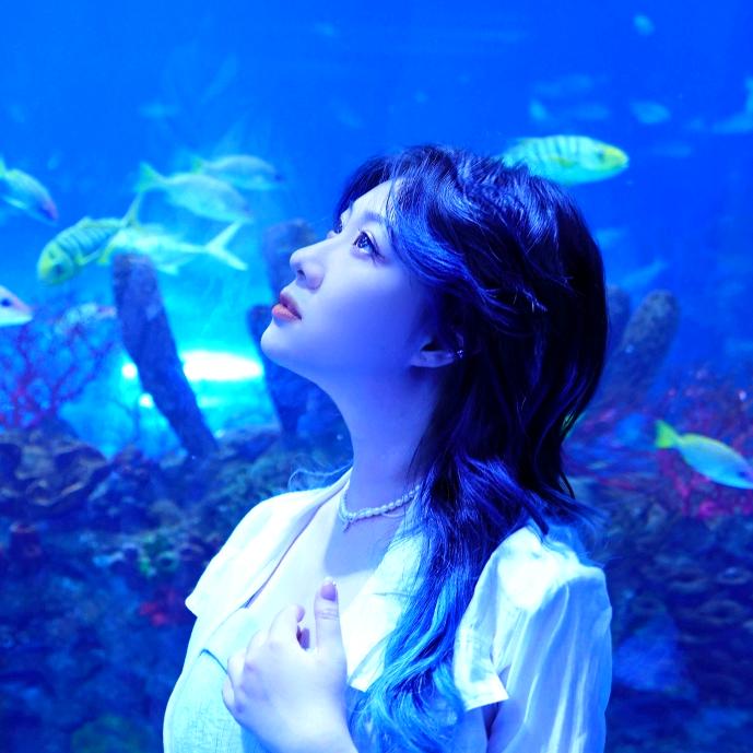 柏冶⭕三尾猫工作室